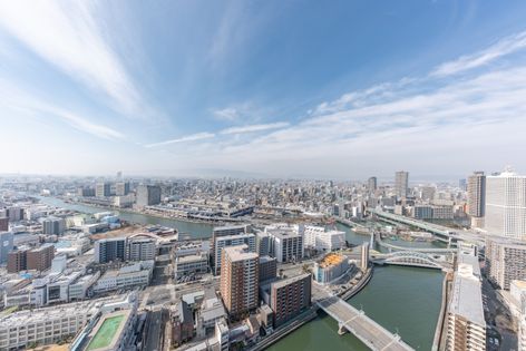 阿波座ライズタワーズフラッグ46 眺望