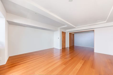 阿波座ライズタワーズフラッグ46 リビング