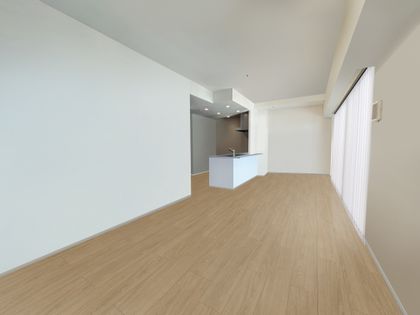 ブランズタワー御堂筋本町 リビング