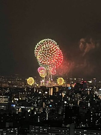 オークプリオタワー 眺望 オークプリオタワー 眺望