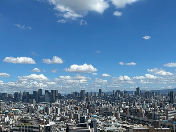 オークプリオタワー 眺望 オークプリオタワー 眺望