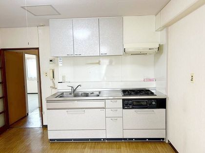 南海狭山コーポ 2号棟 キッチン