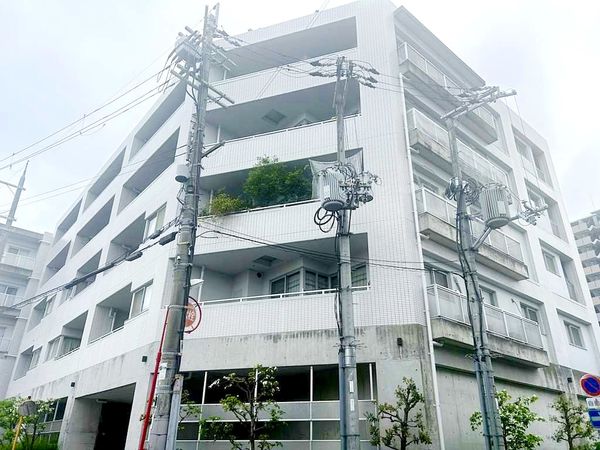 ディークラディア金剛 外観