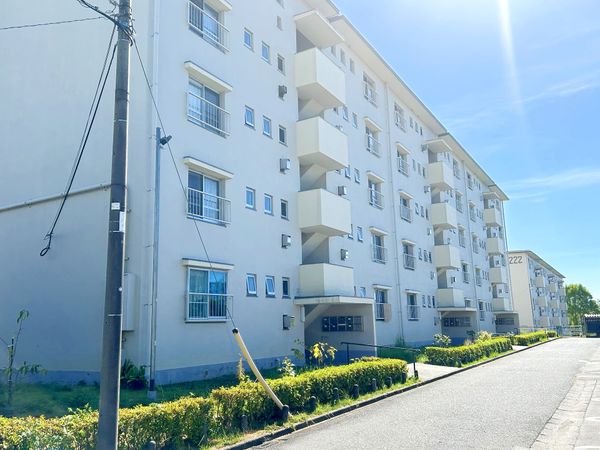 金剛第三住宅 219号棟 外観
