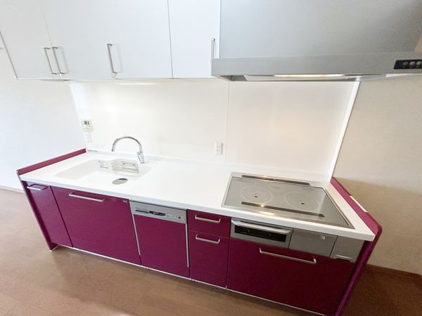 狭山パークホームズ キッチン
