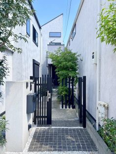 新宿区中落合4丁目 戸建 外観