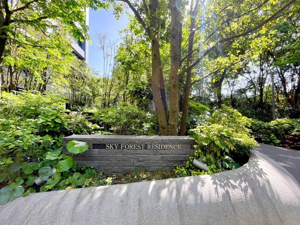 スカイフォレストレジデンス 共有部分