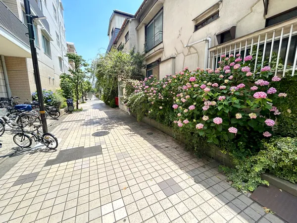 前面通路