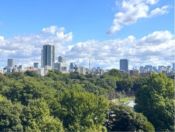 グランドパーク代々木 眺望 グランドパーク代々木 眺望