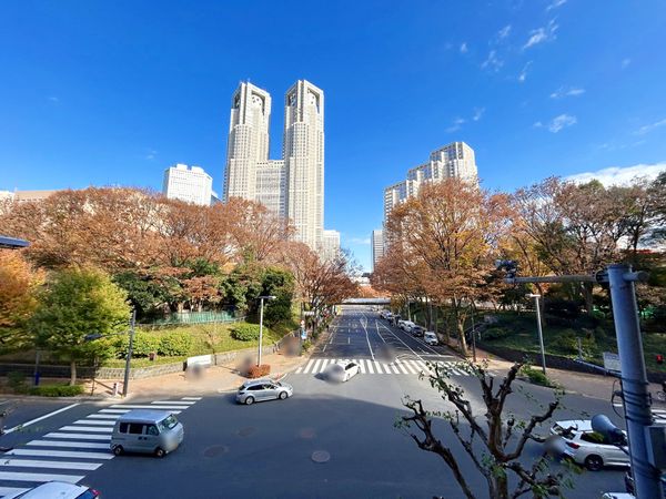 永谷リヴュール新宿 眺望