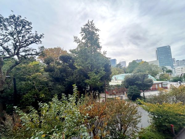 第22宮庭マンション 眺望 眺望