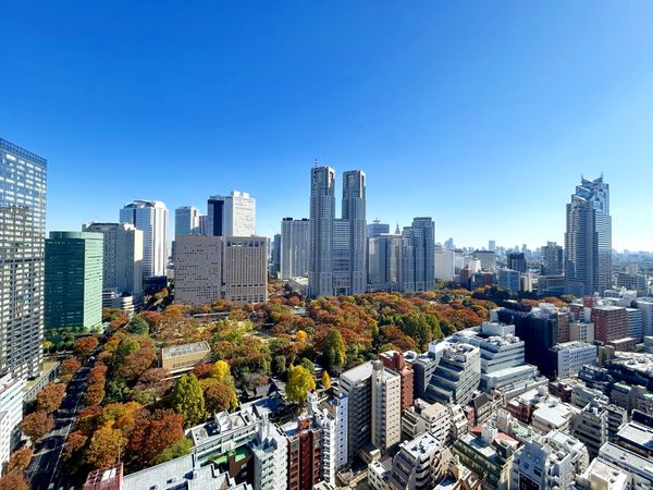 シティタワー新宿新都心 眺望 シティタワー新宿新都心 眺望