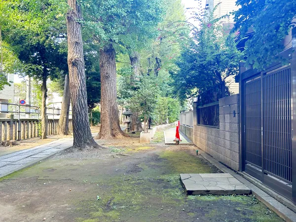 前面道路