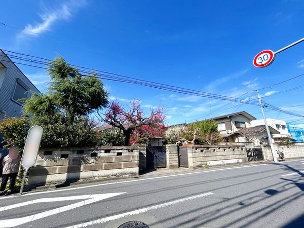 杉並区今川4丁目 土地 土地写真