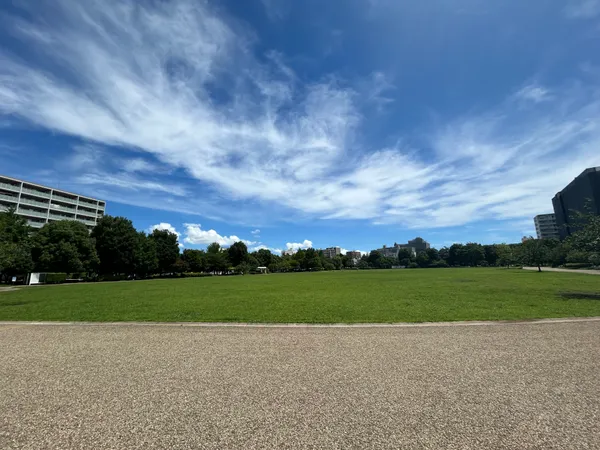 桃井原っぱ公園
