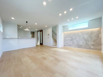杉並区成田東5丁目 新築戸建 C号棟 リビング
