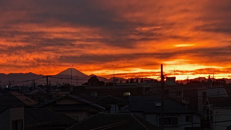 セイガステージ荻窪 眺望