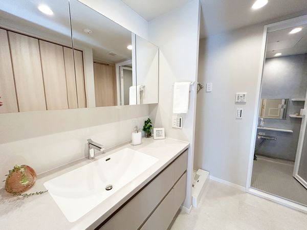 パークアベニュー芦花公園 壱番館 洗面