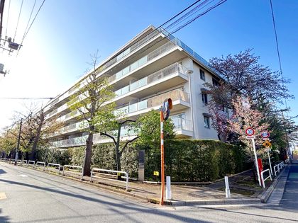 白鷺ハイム 1号棟 外観