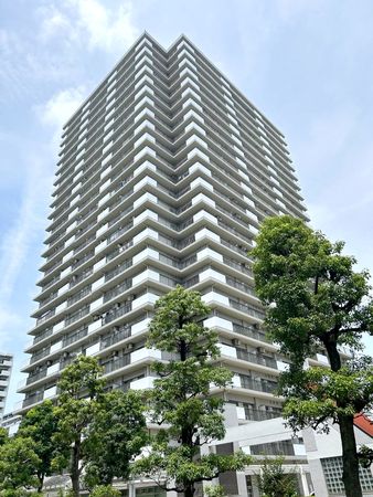光が丘パークタウンいちょう通り東第三団地1号棟 外観 光が丘パークタウンいちょう通り東第三団地1号棟 外観