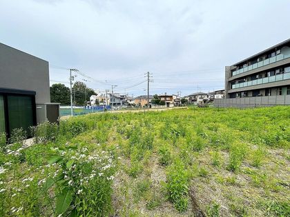 高井戸西2丁目土地 土地写真