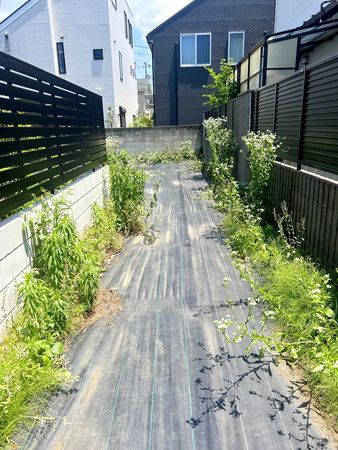 土地写真
