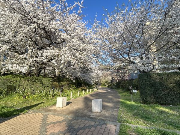 パークシティ浜田山 HOUSE C その他現地 パークシティ浜田山 HOUSE C その他現地