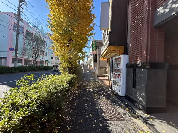 緑に囲まれた前面道路が、開放感と癒しを演出。毎日の暮らしに自然の潤いを感じられる立地です。