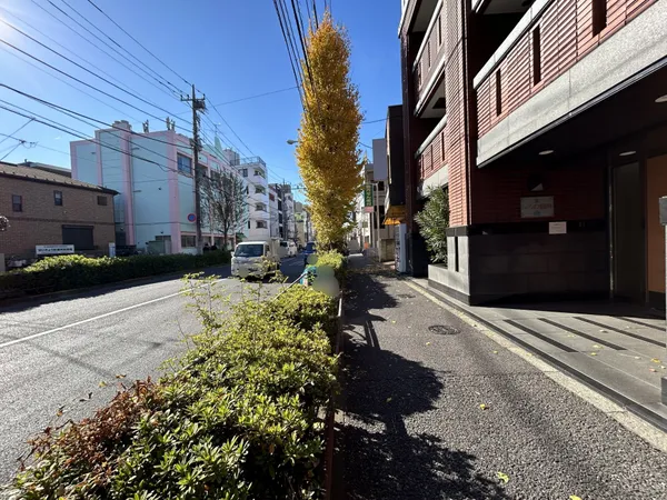 前面道路は広く、周囲には緑が豊かに広がる心地よい環境。四季折々の自然を感じながら、穏やかな暮らしが叶う土地です