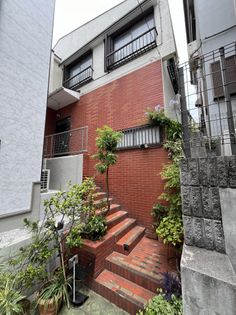 杉並区堀ノ内3丁目 土地 土地写真