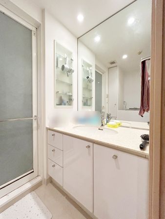 パーク・ハイム中野 洗面