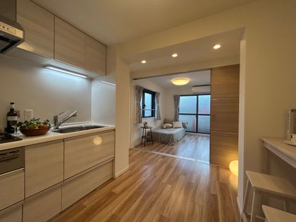 新高円寺ダイカンプラザCity リビング