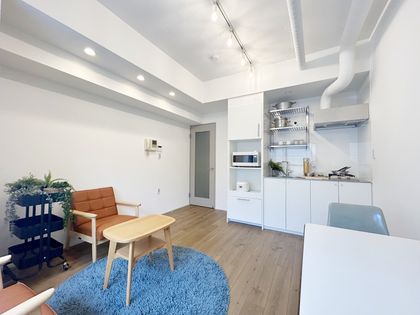 高円寺ニューナショナルコート リビング