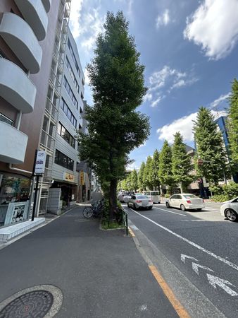 阿佐ヶ谷ダイヤモンドマンション その他現地