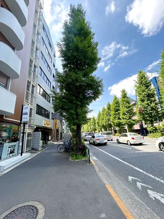 阿佐ヶ谷ダイヤモンドマンション その他現地