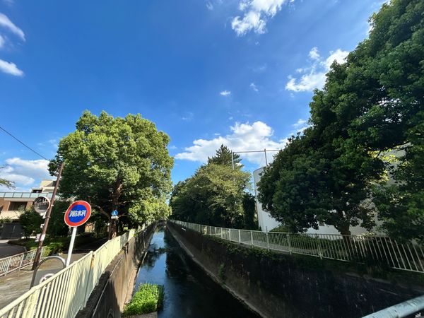 高井戸東1丁目 土地 その他 高井戸東1丁目 土地 その他