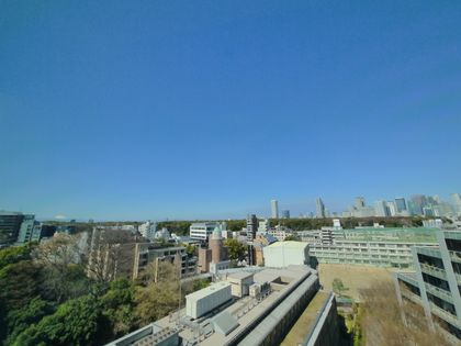 パークコート神宮前 眺望