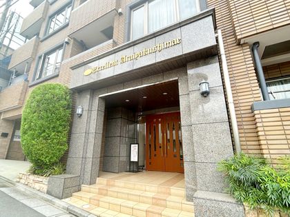 エクセレント新井薬師前 エントランス エントランス