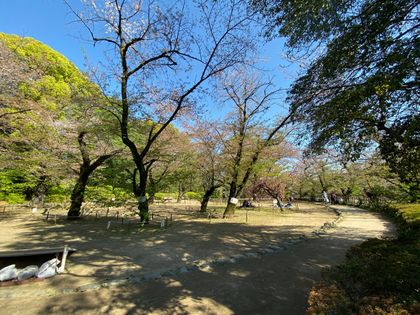 セザール哲学堂公園 区立哲学堂公園(約500m) 区立哲学堂公園(約500m)