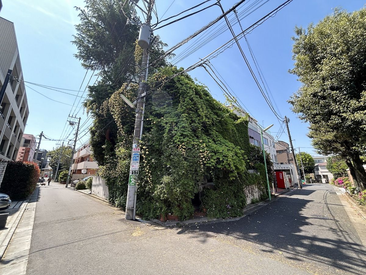 土地写真