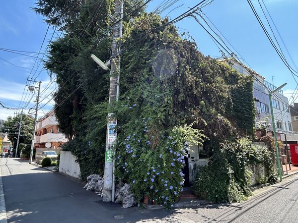 世田谷区北沢3丁目 古家付土地 土地写真