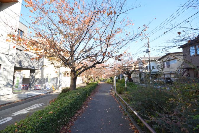 代沢3丁目 新築戸建 前面道路含む外観 代沢3丁目 新築戸建 前面道路含む外観