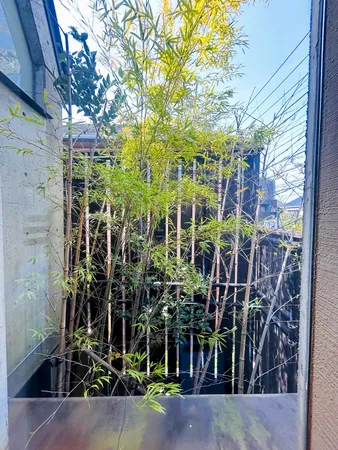 和室からの眺望(坪庭)
