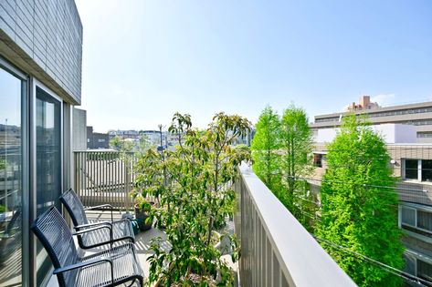 ディアナコート代々木上原 眺望