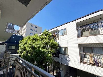 シャトレー笹塚 眺望 眺望