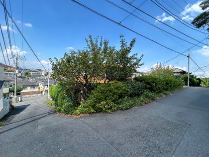 玉川学園1丁目 土地 土地写真