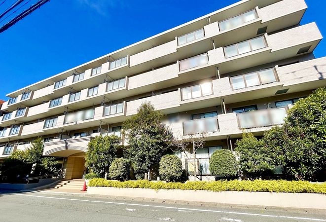 ロイヤルシャトー武蔵新城 外観