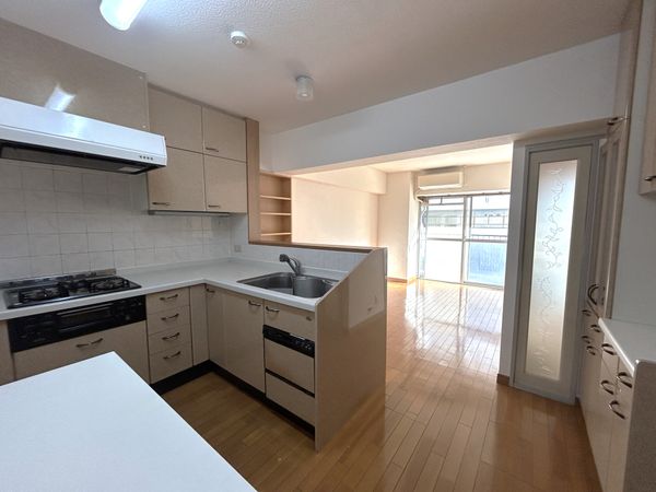 溝の口セントラルマンション キッチン