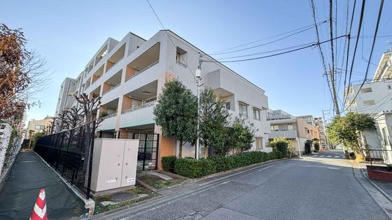 パークハウス武蔵新城ソレイユテラス 外観