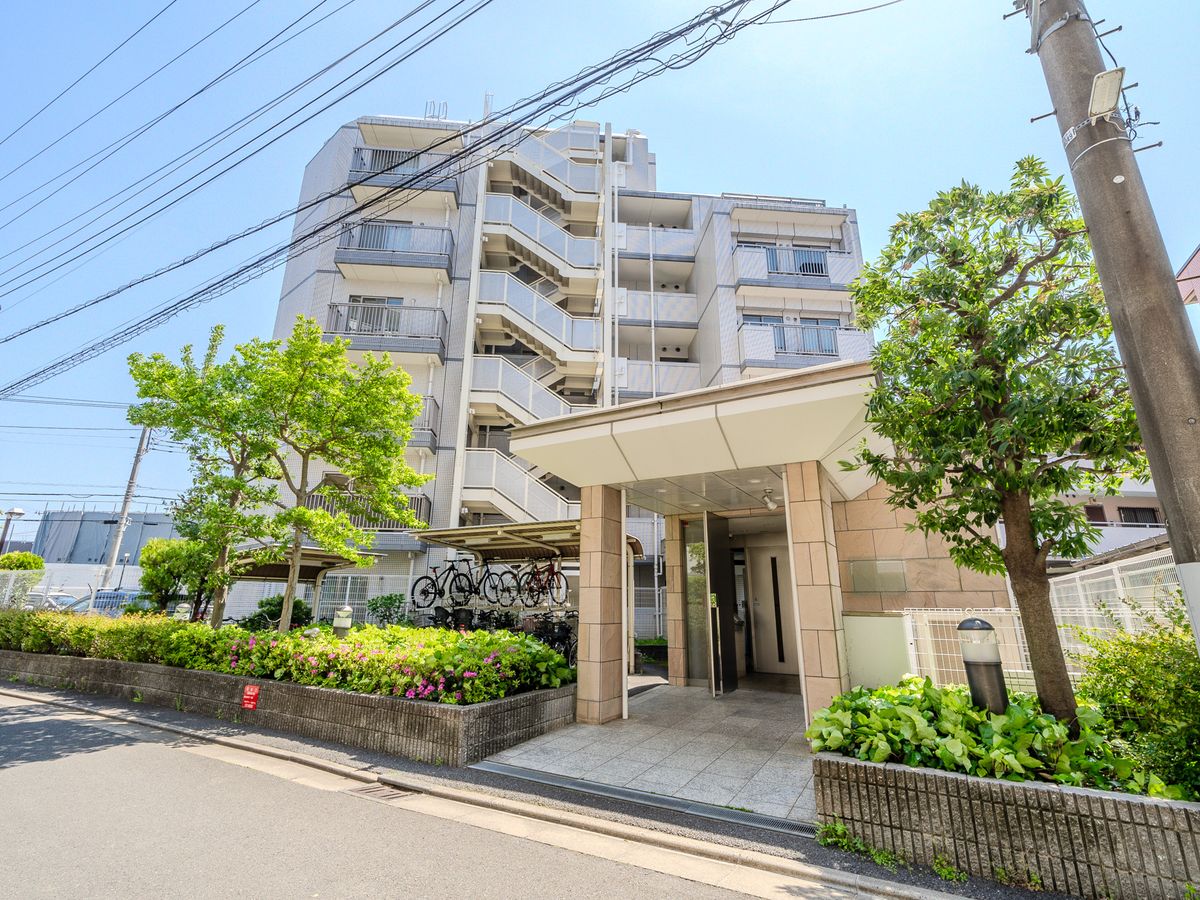外観